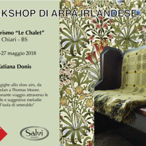 workshop di arpa irlandese