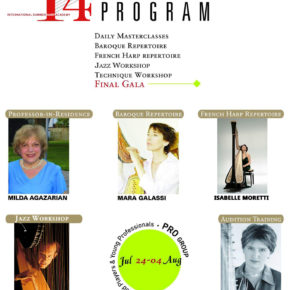 HarpMaster Academy Program